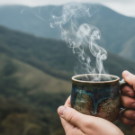 El secreto del mejor café de Ecuador: Una ruta por el aroma de Loja Categoría: Gastronomía y Sabores Locales